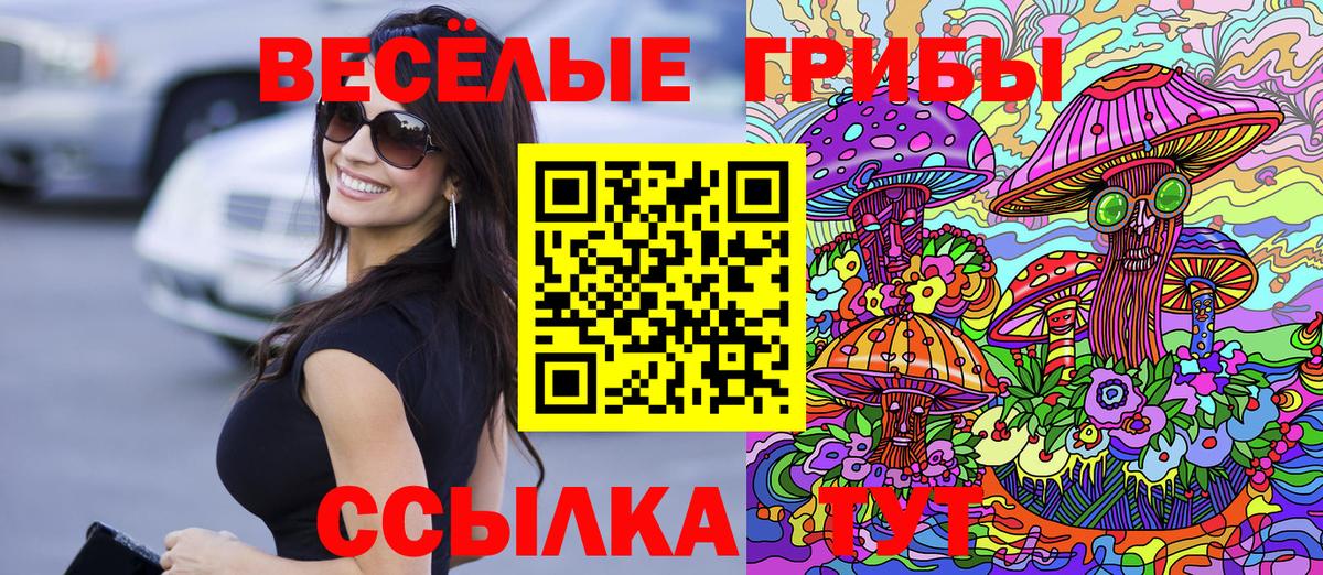 Якутск  Галлюциногенные грибы Cubensis  Псилоцибиновые грибы Psilocybine cubensis  Вход с VPN 